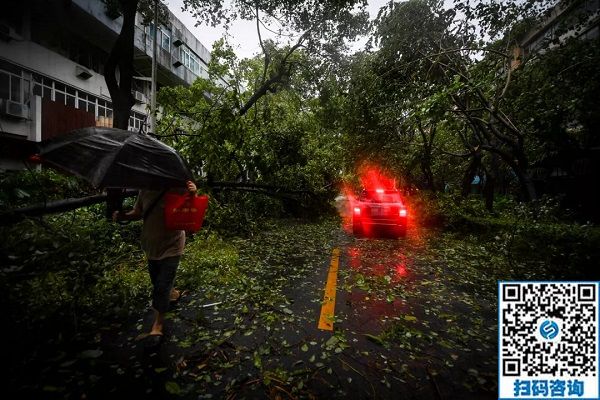 心系大家，共抵臺(tái)風(fēng)“山竹”，手工之家對(duì)臺(tái)風(fēng)過境區(qū)域會(huì)員推出延遲交貨等多項(xiàng)愛心政策(圖2)