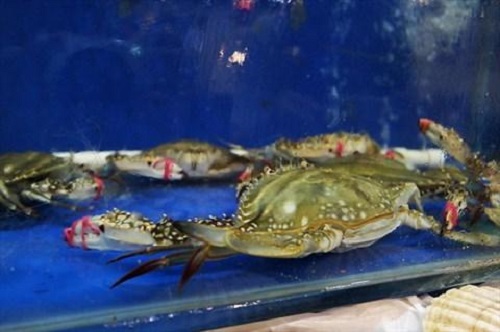 防騙在行動，手工之家提醒大家買海鮮注意這幾點，可以不上當(dāng)受騙