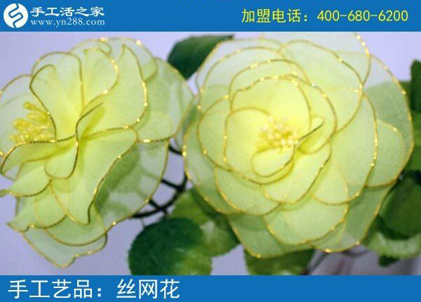 你見過這么漂亮的絲網(wǎng)花嗎？純手工制作廢物利用 花的世界花的海洋！(圖4)