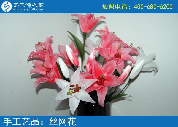 你見過這么漂亮的絲網(wǎng)花嗎？純手工制作廢物利用 花的世界花的海洋！(圖3)