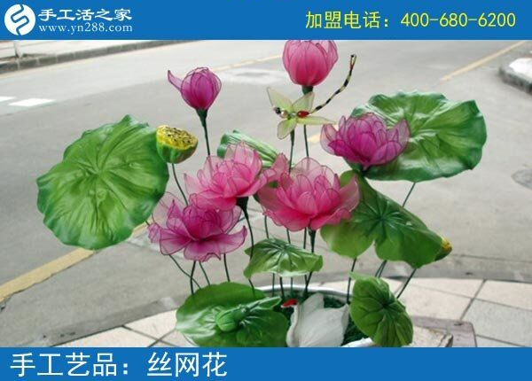 你見過這么漂亮的絲網(wǎng)花嗎？純手工制作廢物利用 花的世界花的海洋！(圖5)