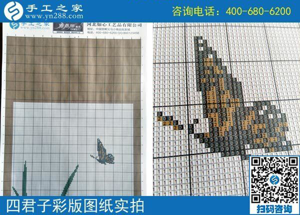 手工之家雅薇麗珠繡圖紙（梅蘭竹菊）新款，彩色升級(jí)版！(圖2)