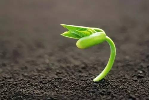 同樣在做，為什么有的微商不掙錢，有的掙錢、有的掙大錢？(圖3)