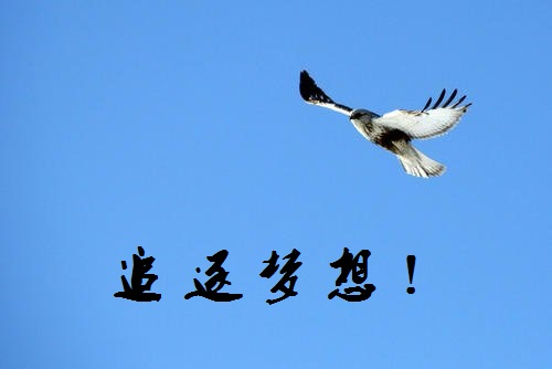 追夢路上，付出和堅守就是成功的秘訣-------手工之家新疆阿克蘇地區(qū)某加工會員成長記(圖1)