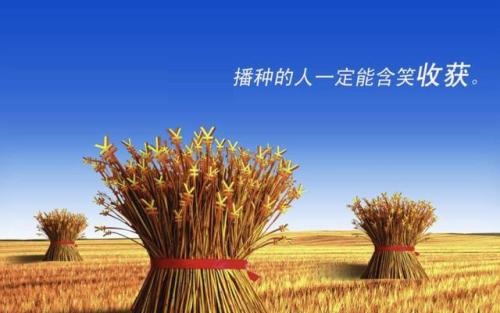 （干貨）分享：判斷在家做的手工活加工項目的正規(guī)性，這幾個角度要注意(圖3)