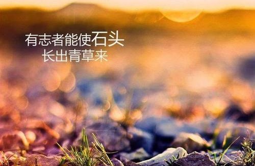 做微商賺不到錢？你是不是犯了這個(gè)錯(cuò)誤(圖1)