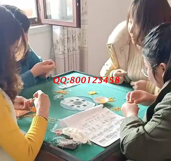 3月9日，想接正規(guī)廠家的手工活，拿回家做的手工活，這里的珠繡寄發(fā)材料手工活值得擁有，手工之家接待考察加工客戶剪影