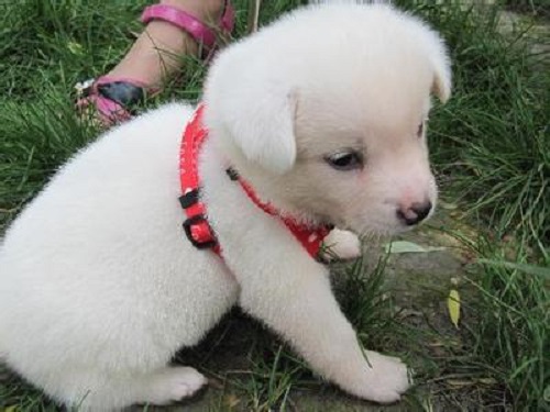 防騙在行動，手工之家提醒大家，生活中這些“”的騙局要知道(圖3)