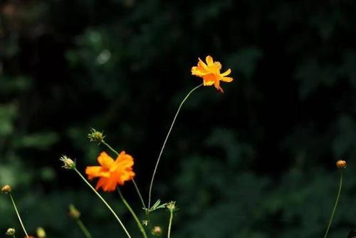 做微商與做人一個道理，要想成功，千萬不要做這樣的事(圖1)