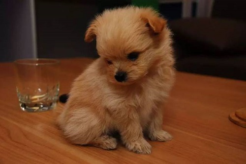 防騙在行動(dòng)，手工之家提醒大家，常刷短視頻，這些詐騙套路要知道