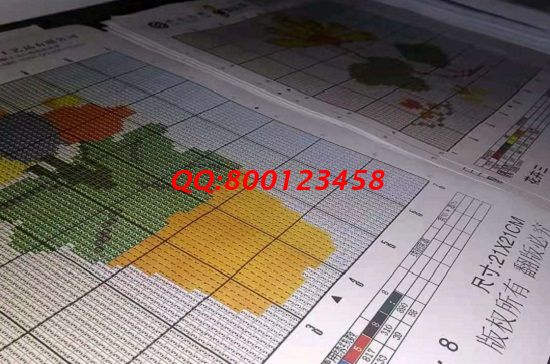 9月2日，拿回家做的手工活，選擇勵(lì)志珠珠繡手工活外發(fā)加工項(xiàng)目的人越來越多，圖為勵(lì)志珠珠繡幾款圖紙實(shí)拍