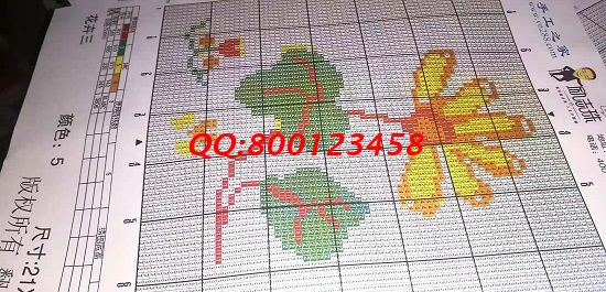 9月2日，拿回家做的手工活，選擇勵(lì)志珠珠繡手工活外發(fā)加工項(xiàng)目的人越來越多，圖為勵(lì)志珠珠繡幾款圖紙實(shí)拍