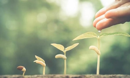 做微商，要學(xué)會利用零碎時(shí)間學(xué)習(xí)進(jìn)步，利用好下班后的時(shí)間(圖3)