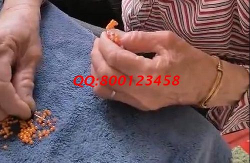 在家做手工活掙錢(qián)，這里的珠繡外發(fā)加工手工活很受歡迎(圖1)