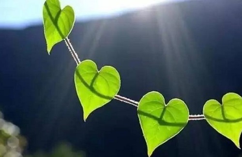 做微商，如何掌握必要的銷售技巧？(圖2)