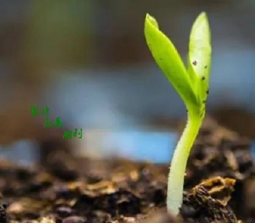 這五點(diǎn)銷售心理做好了，微商也就會(huì)越來(lái)越成功(圖1)