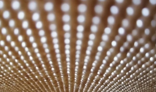 7月31日，可靠的手工活外發(fā)，在家做手工兼職，月末月初，手工之家對要做手工活掙錢的人這樣說，圖為勵志珠珠繡串珠手工產品剪影