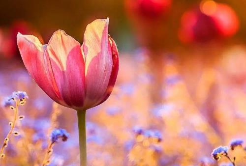 微商要想多掙錢，就要掌握這幾個成交技巧(圖4)