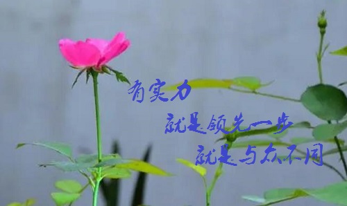 手工活接單正規(guī)平臺(tái)，有實(shí)力的手工廠家是啥樣的？