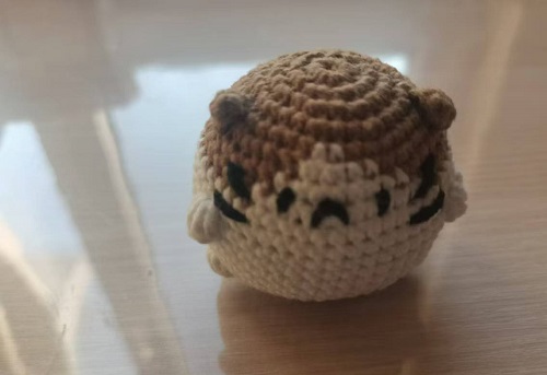 貓咪團團 (1).jpg