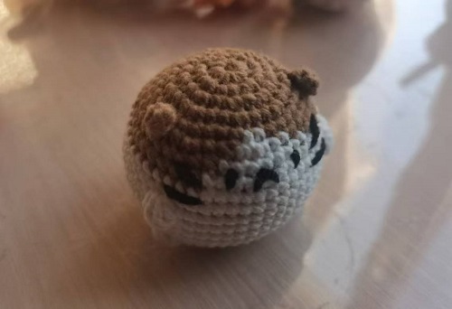 貓咪團團 (2).jpg