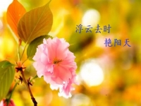 不一樣的五·一，用一樣的心去努力