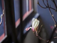 防騙在行動，手工之家提醒，這些人容易上當受騙