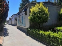 農(nóng)村加工和創(chuàng)業(yè)好項(xiàng)目，選擇這個(gè)純手工項(xiàng)目的人收入都很好