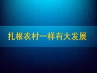 在家能做的兼職正規(guī)可靠，扎根農(nóng)村一樣有大發(fā)展