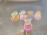 3月5日，手工活外發(fā)加工可靠嗎？在家做手工副業(yè)掙錢，開飾品加工廠，與手工之家合作，純手工的收入讓人放心，圖為串珠米珠繡手工產(chǎn)品剪影