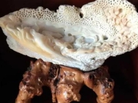 讓更多的地方留下“雕刻”手工藝的印記，手藝人創(chuàng)業(yè)孵化營(yíng)帶大家實(shí)現(xiàn)更好的發(fā)展 