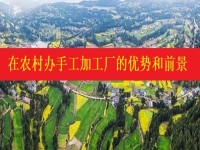 發(fā)掘農(nóng)村優(yōu)勢，讓返鄉(xiāng)創(chuàng)業(yè)開手工加工廠成為更多人掙錢增收的好辦法