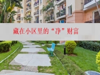 在城里創(chuàng)業(yè)辦純手工加工廠，就是找到了藏在小區(qū)里的“凈”財(cái)富