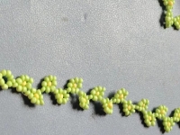 7月19日，附近有沒有兼職手工活，在家做的手工副業(yè)，開手工加工廠，做手工傳承官，在手工之家，每一種合作都有成熟的服務和支持，圖為串珠米珠繡純手工產(chǎn)品剪影