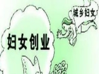 農(nóng)村創(chuàng)業(yè)、城市創(chuàng)業(yè)，家庭主婦等女士做手工傳承官都是自帶優(yōu)勢(shì)