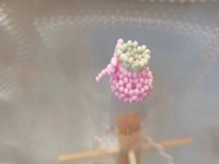 10月22日，手工活外發(fā)加工正規(guī)的廠家，微創(chuàng)業(yè)做手工傳承官，開手工加工廠，大家與手工之家始終是平等、共贏的關(guān)系，圖為串珠米珠繡純手工產(chǎn)品剪影