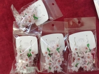 11月15日，手工活拿回家做在哪里找，居家副業(yè)創(chuàng)業(yè)，微創(chuàng)業(yè)做手工傳承官，在手工之家，純手工讓大家一年四季有錢掙，圖為串珠米珠繡手工產(chǎn)品材料剪影