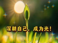 在家想掙錢，想多掙錢，哪些純手工會讓人一直愿意做下去？