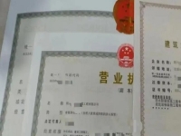 2025年要做的小成本創(chuàng)業(yè)項(xiàng)目，開純手工加工廠掙錢不會倒閉，能長期做下去