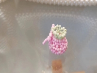 9月3日，手工兼職創(chuàng)業(yè)在家做是真的，微創(chuàng)業(yè)做手工工作室，在家做的好手工，手工之家有實(shí)力，合作起來(lái)踏實(shí)放心，圖為串珠米珠繡純手工產(chǎn)品剪影