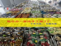 全國扶持， 聯(lián)合辦廠，僅限50個名額??！