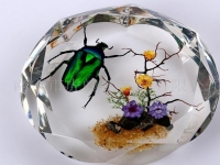 想找份手工活代理制作昆蟲(chóng)琥珀工藝品