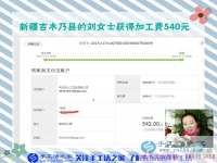 除了坐月子期間，新疆吉木乃劉女士從懷孕開始到現(xiàn)在一直在家做串珠手工活賺錢，這一次是540元。