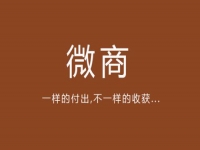 給你一點(diǎn)啟發(fā)，淺談微商的價(jià)值