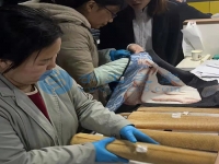 在家庭工作做手工活外接串珠子，常年輕松快樂(lè)把錢(qián)賺